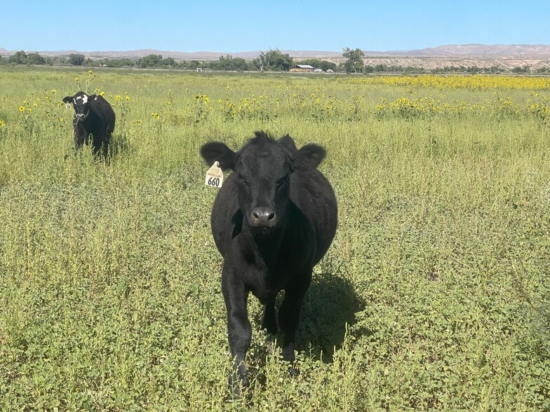 8 Chunky rd, Socorro, NM à vendre - Autre - Image 2 de 5