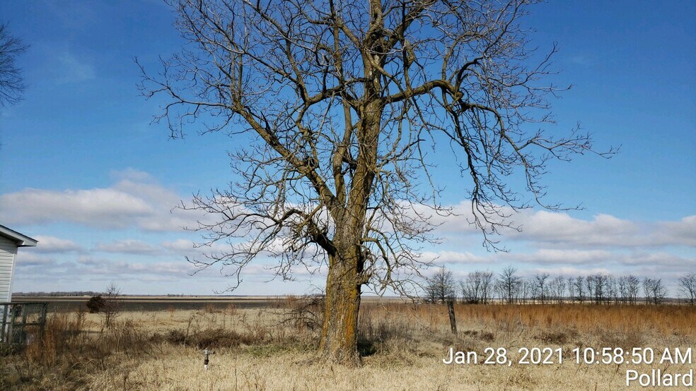 74 County Road 325, Pollard, AR à vendre - Photo du bâtiment - Image 3 de 9
