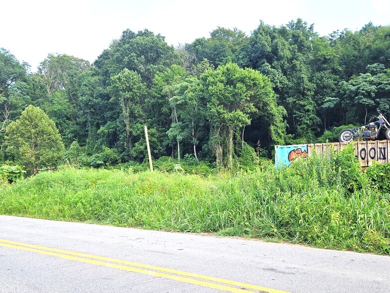 0 Swannanoa River Rd, Asheville, NC for sale - Building Photo - Image 2 of 16