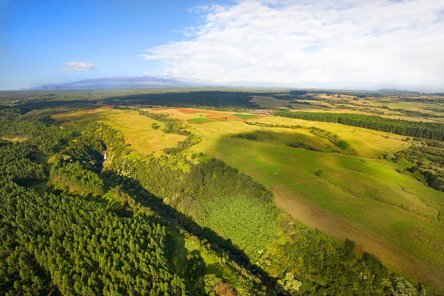 27-5159 Puia Rd, Papaikou, HI for lease - Aerial - Image 2 of 33