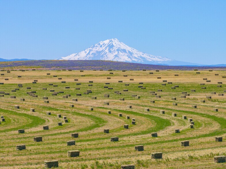 540-775 Pittville Rd, Mcarthur, CA à vendre - Photo du bâtiment - Image 2 de 104