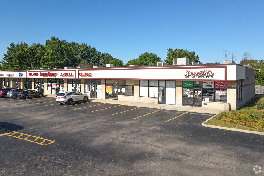 501-541 W 87th St, Naperville, IL à vendre - Photo du bâtiment - Image 3 de 6