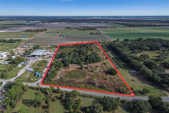 More details for 26034 County Road 448A, Mount Dora, FL - Land for Sale