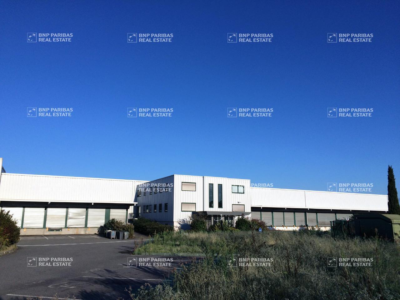 Flex in Bruguières for lease Building Photo- Image 1 of 5