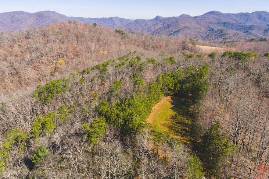 TBD Ararat hwy, Ararat, VA à vendre - Photo du bâtiment - Image 3 de 27