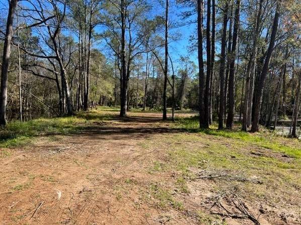 169 Hutchinson Rd, Jacksonville, FL for sale - Building Photo - Image 2 of 3