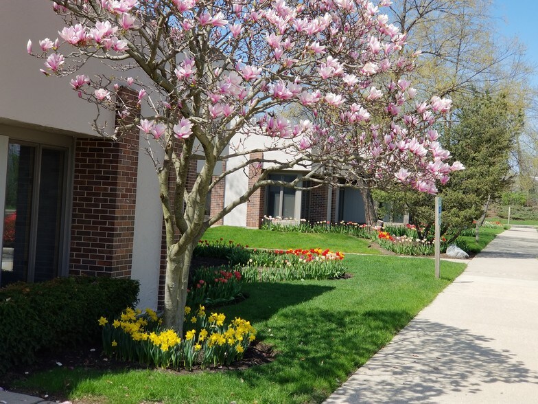 1117 S Milwaukee Ave, Libertyville, IL à vendre - Photo du bâtiment - Image 3 de 6