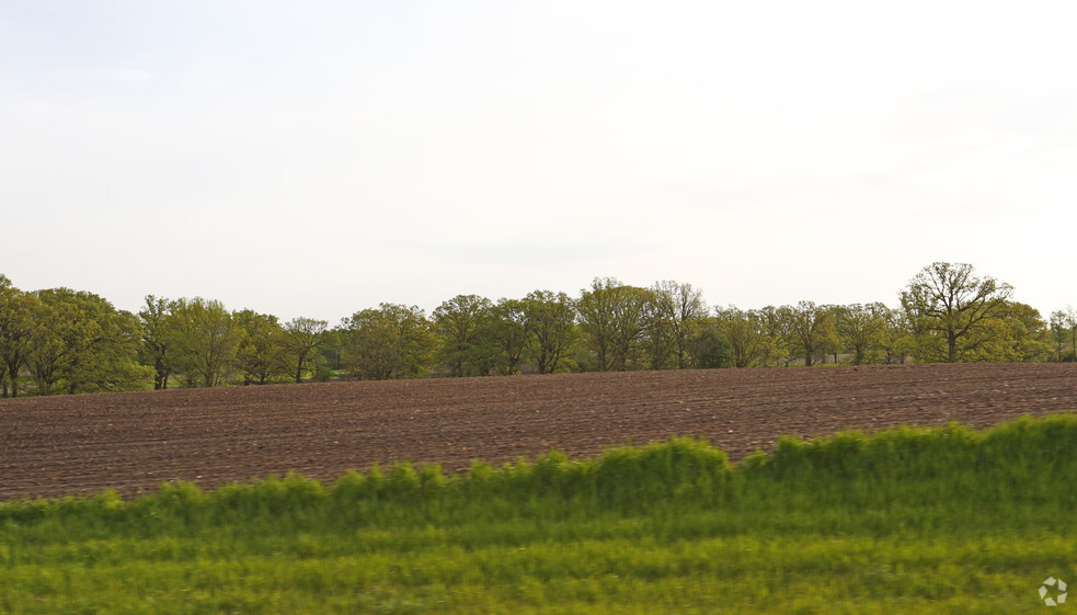 981 Elm St E, Annandale, MN for sale - Primary Photo - Image 1 of 1