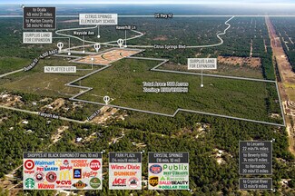 Plus de détails pour 7759 Freemantle Way, Dunnellon, FL - Terrain à vendre