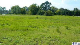 Plus de détails pour 4603 W Highway 76, Marion, SC - Terrain à vendre