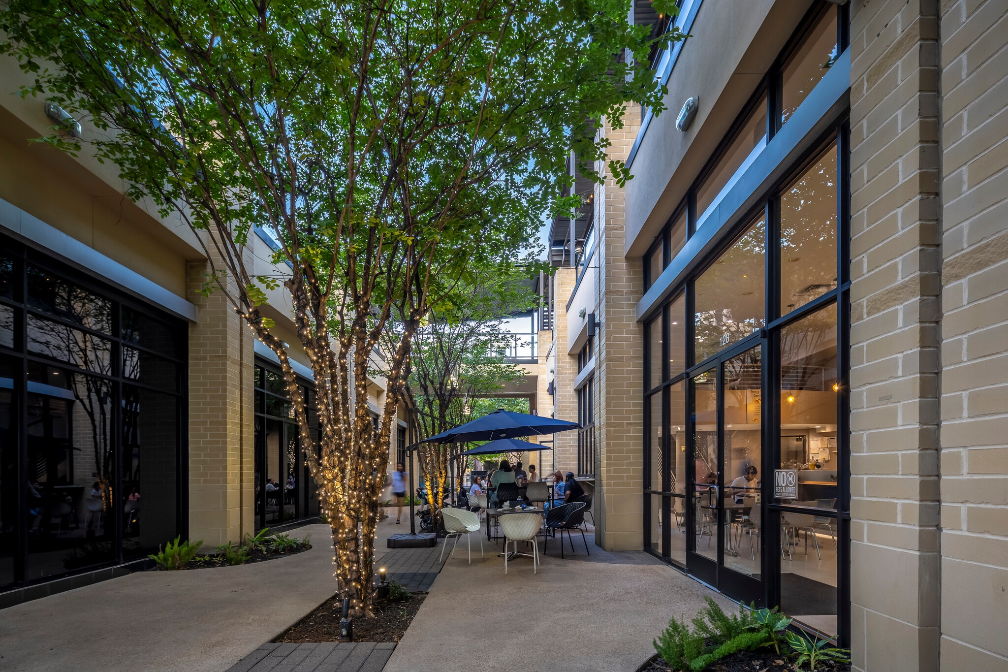 798 Sorella Ct, Houston, TX for lease Primary Photo- Image 1 of 3