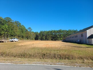 Plus de détails pour 13995 Sam Seymour Rd, Vancleave, MS - Terrain à vendre