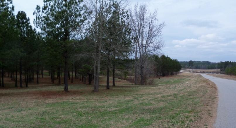 215 Chalmers Park Rd, Greenwood, SC for sale Primary Photo- Image 1 of 5