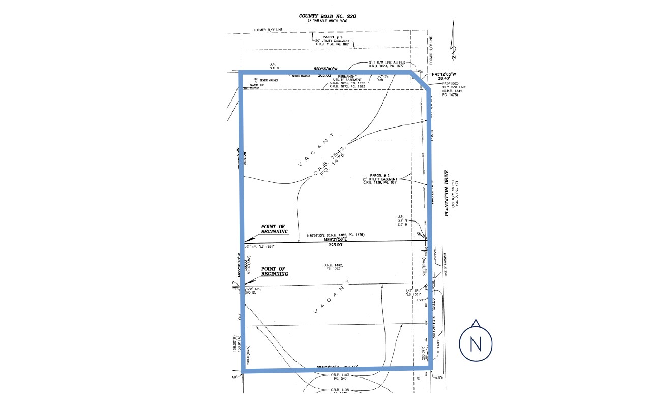 SWC CR-220 and Plantation Dr., Middleburg, FL for sale Primary Photo- Image 1 of 5