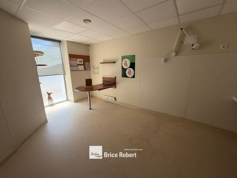 47 Avenue Jean Mermoz, Lyon for lease - Interior Photo - Image 3 of 6