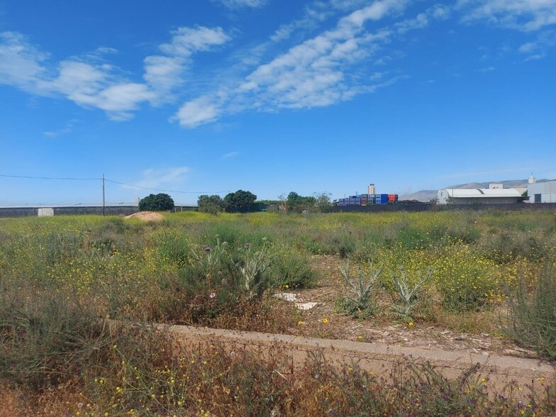 Terrain dans El Ejido, Almería à vendre - Plan de site - Image 1 de 4