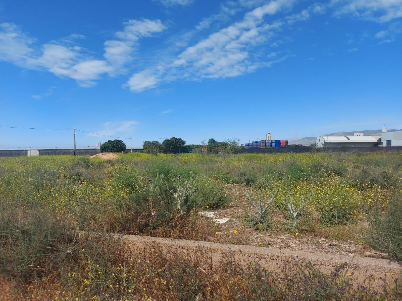 Terrain dans El Ejido, Almería à vendre Plan de site- Image 1 de 5