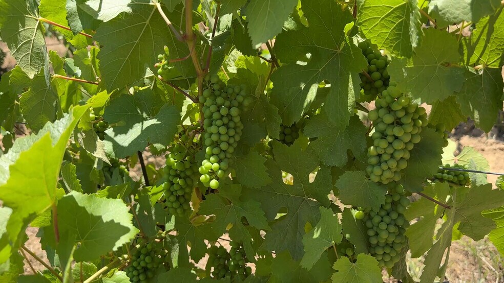 18570 Black Rd, Los Gatos, CA à vendre - Photo du bâtiment - Image 2 de 23