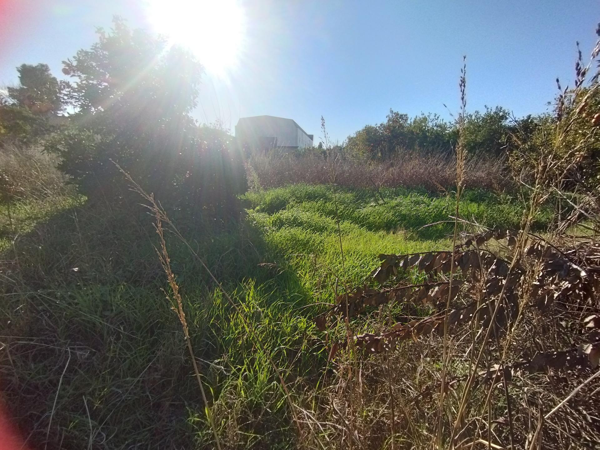 Camino de los Pinos, S/N, Murcia, Murcia for sale Building Photo- Image 1 of 18