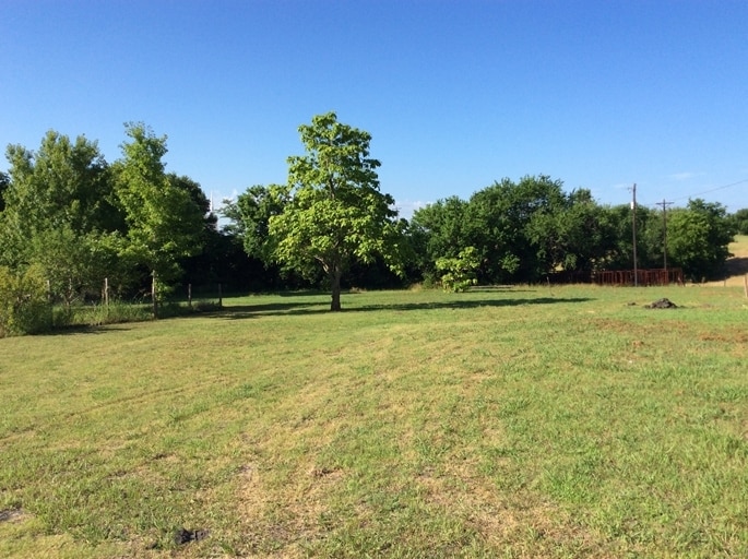 600-608 FM 981, Blue Ridge, TX for sale - Other - Image 3 of 7