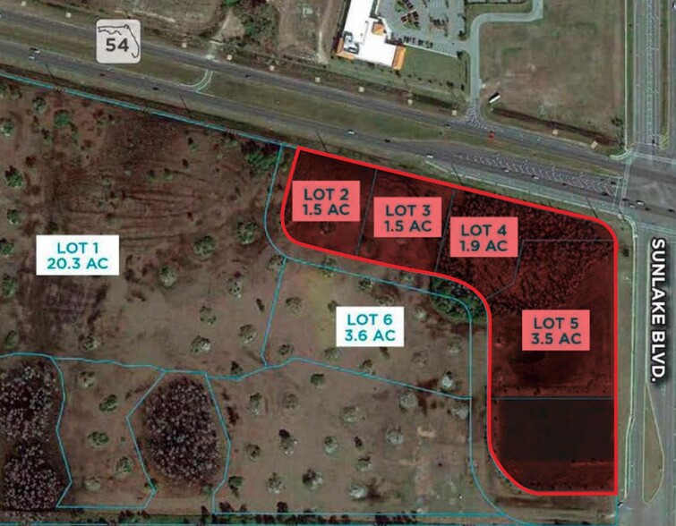 SR 54  & Sunlake Blvd, Lutz, FL for lease - Building Photo - Image 2 of 2