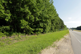 More details for US 1 & NC HWY 96, Youngsville, NC - Land for Sale