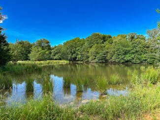 Plus de détails pour Intersection of FM 2029 and FM 409, Telephone, TX - Terrain à vendre