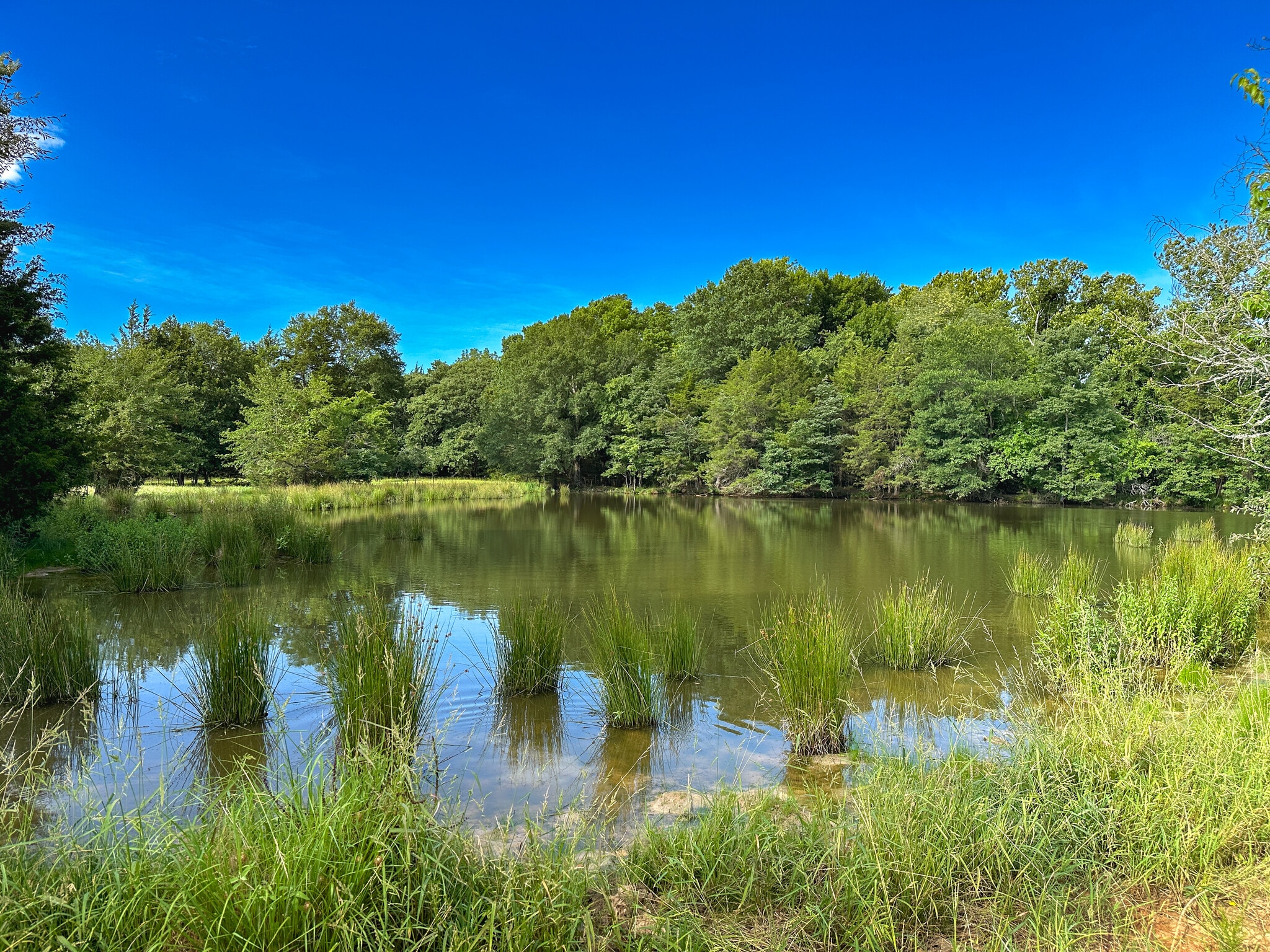 Intersection of FM 2029 and FM 409, Telephone, TX à vendre Aérien- Image 1 de 39