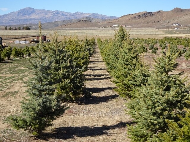 3995 Bacon Rind Rd, Reno, NV for sale Building Photo- Image 1 of 15