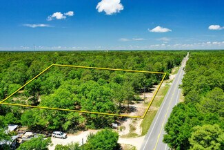 Plus de détails pour 1384 FL-20, Freeport, FL - Terrain à vendre