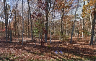 Plus de détails pour 2649 Fries Mill rd, Williamstown, NJ - Terrain à vendre