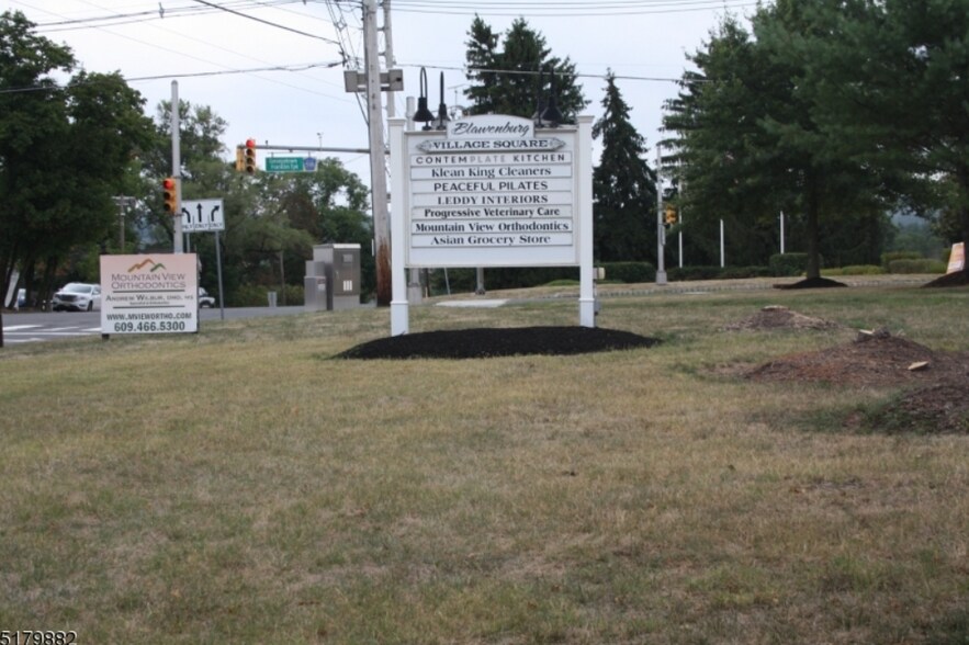 378-390 Route 518, Skillman, NJ à louer - Photo du bâtiment - Image 2 de 8