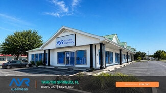 More details for 41680 Us Highway 19 N, Tarpon Springs, FL - Retail for Sale