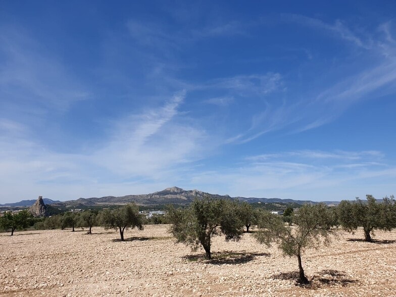 Land in Sax, Alicante for sale - Aerial - Image 3 of 5