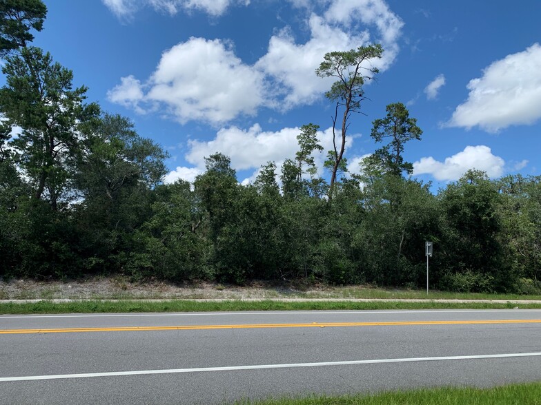 Doyle Rd, Deltona, FL à vendre - Photo principale - Image 1 de 1