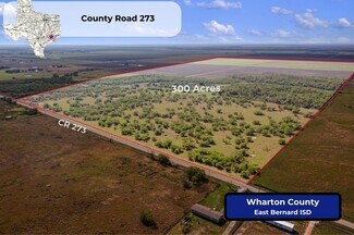 More details for 00 County Road 273, East Bernard, TX - Land for Sale