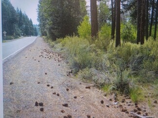 Plus de détails pour 227 Highway 422, Chiloquin, OR - Terrain à vendre