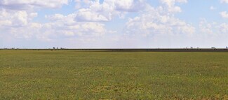 Plus de détails pour 807 County Road 515, Dimmitt, TX - Terrain à vendre