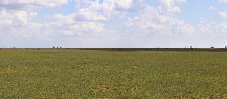 807 County Road 515, Dimmitt, TX à vendre Photo principale- Image 1 de 7