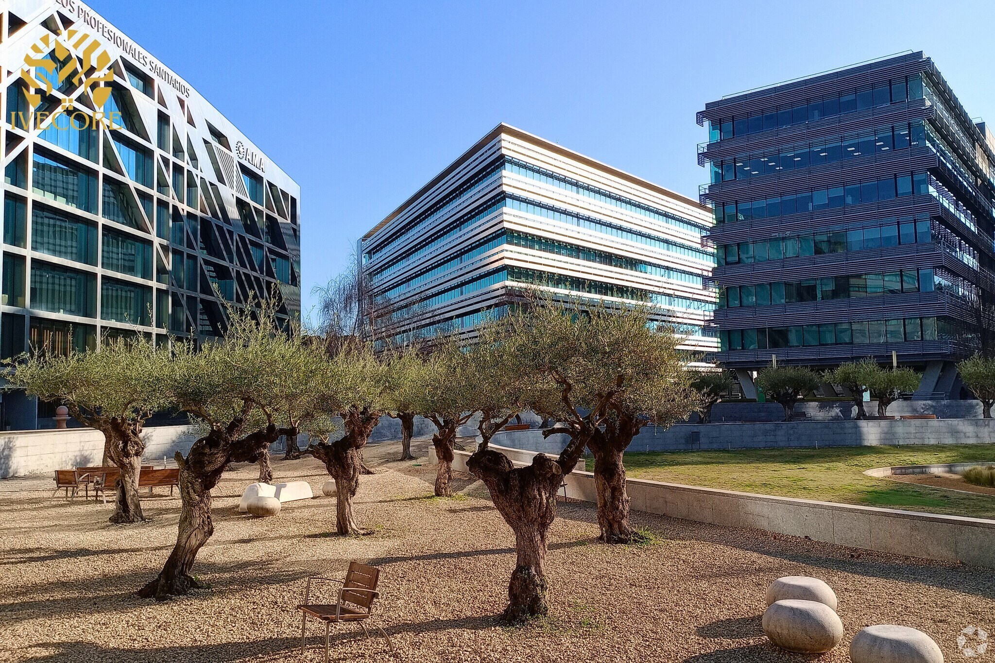 Bureau dans Madrid, Madrid à louer Photo intérieure- Image 1 de 26