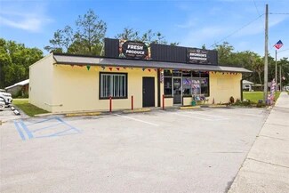 Plus de détails pour 380 E Hathaway Ave, Bronson, FL - Commerce de détail à vendre