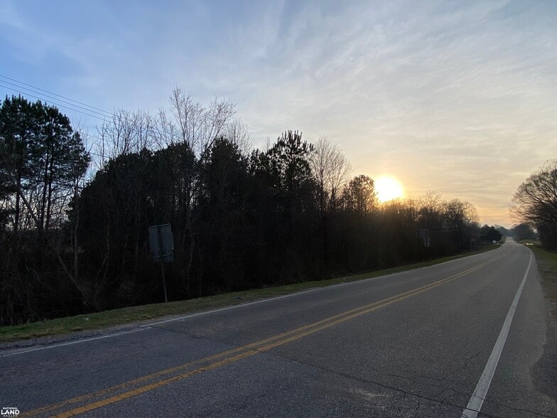 Highway 145, Columbiana, AL for sale - Other - Image 2 of 7