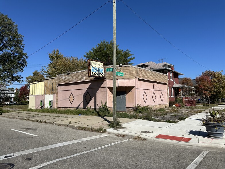 8900 3rd St, Detroit, MI for sale - Building Photo - Image 2 of 4