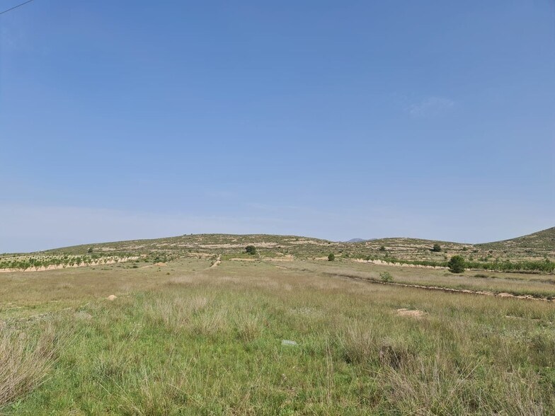 Land in Jumilla, Murcia for sale - Primary Photo - Image 1 of 9