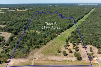 Plus de détails pour Tract B Hwy 69 hwy, Mineola, TX - Terrain à vendre