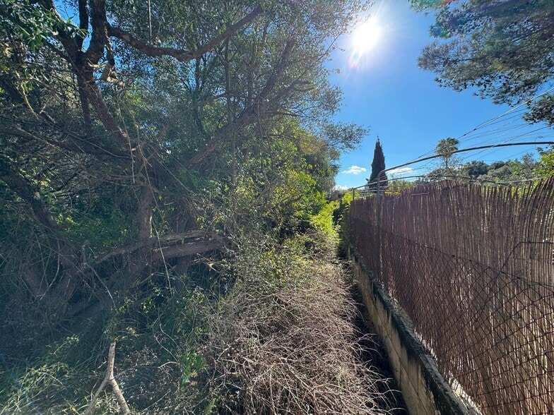 Land in Sa Pobla, Islas Baleares for sale - Building Photo - Image 2 of 15
