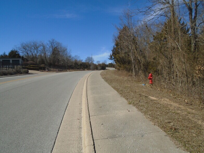 Frank Rea Blvd At Garges Way And Scott Blvd, Branson, MO à vendre - Autre - Image 3 de 5