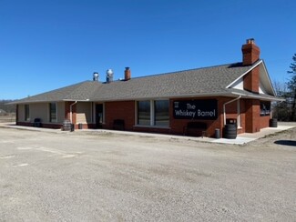 Plus de détails pour 10980 Dunnigan Rd, Emmett, MI - Vente au détail à vendre