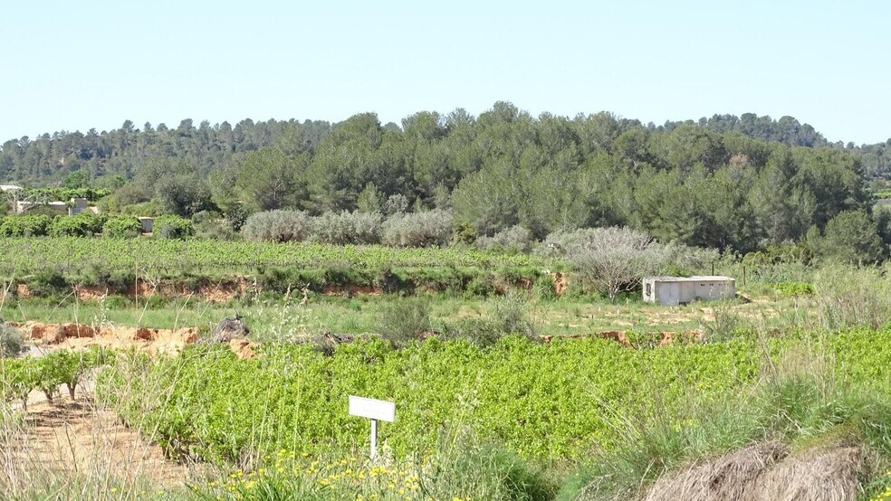 Polígono Enchilagar del Rullo, 16, Vilamarxant, Valencia à vendre - Photo du bâtiment - Image 2 de 27