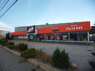 Plus de détails pour 229 Broadhollow Rd, Farmingdale, NY - Industriel à vendre